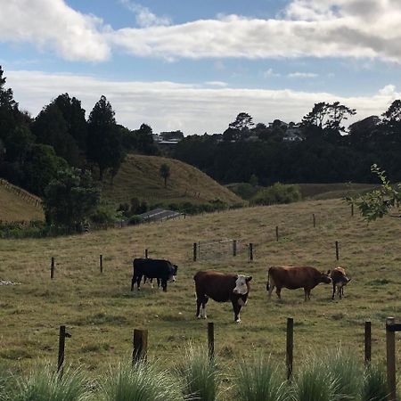 Pukeko Lodge Bnb 新普利茅斯 外观 照片