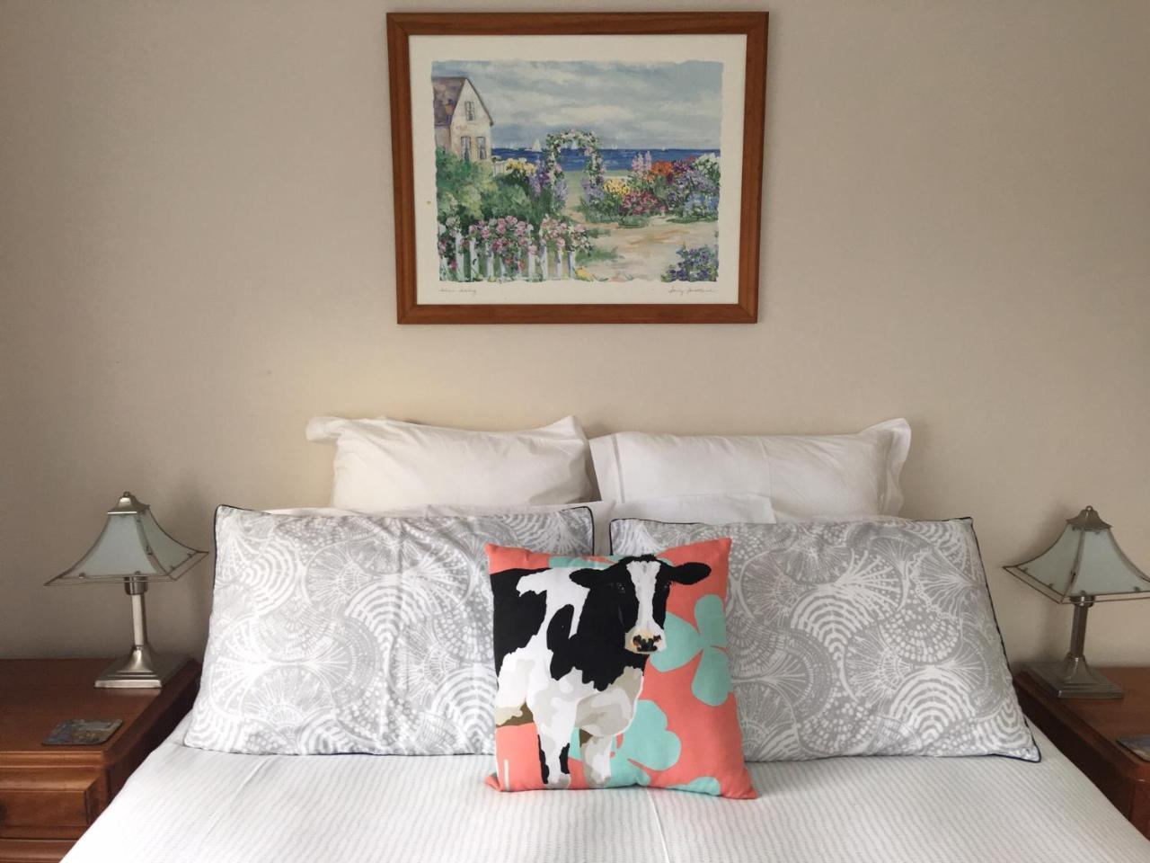 Pukeko Lodge Bnb 新普利茅斯 外观 照片